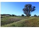 4234 Belabula Way, Canowindra NSW 2804