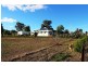 4234 Belabula Way, Canowindra NSW 2804
