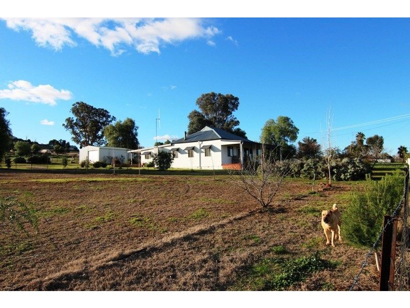4234 Belabula Way, Canowindra NSW 2804