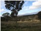 1445 Sewell Creek Road, Bathurst NSW 2795