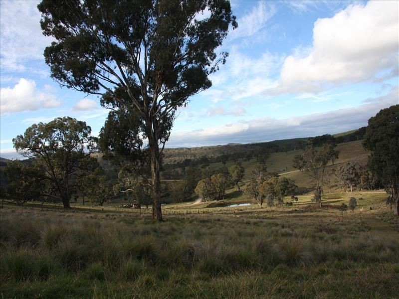 1445 Sewell Creek Road, Bathurst NSW 2795