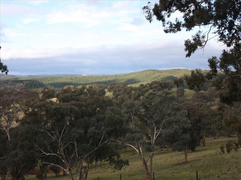 1445 Sewell Creek Road, Bathurst NSW 2795