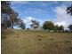 1445 Sewell Creek Road, Bathurst NSW 2795