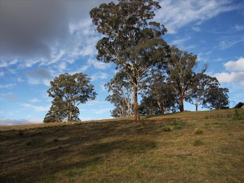 1445 Sewell Creek Road, Bathurst NSW 2795