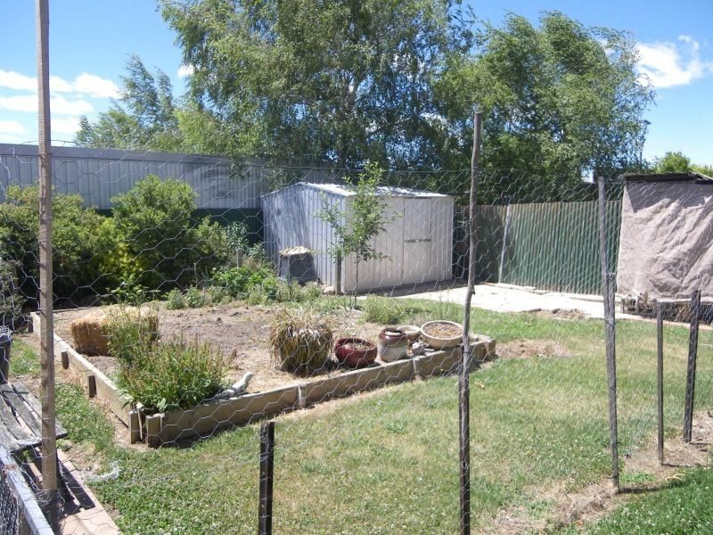 1710 Forest Reefs Road, Orange NSW 2800