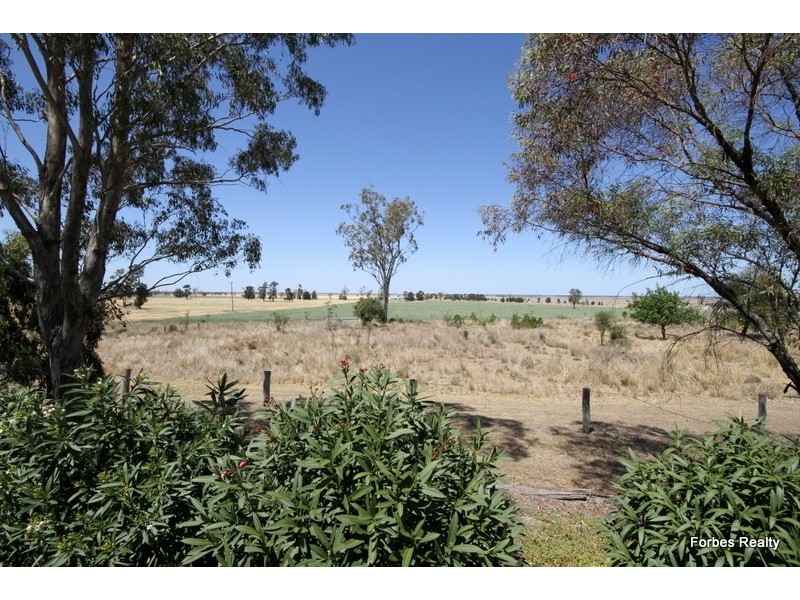 296 Hustons Road, Dalby QLD 4405