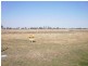 Dalby QLD 4405