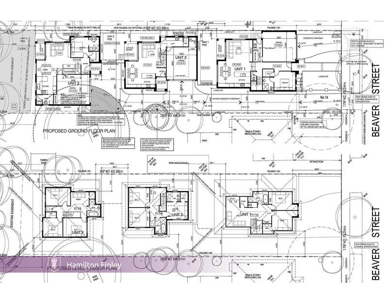 14 Beaver Street, Box Hill South VIC 3128