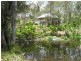 56 Staatz Quarry Road, Regency Downs QLD 4341