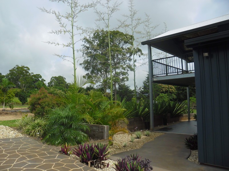 10B Palomino Avenue, Tolga QLD 4882