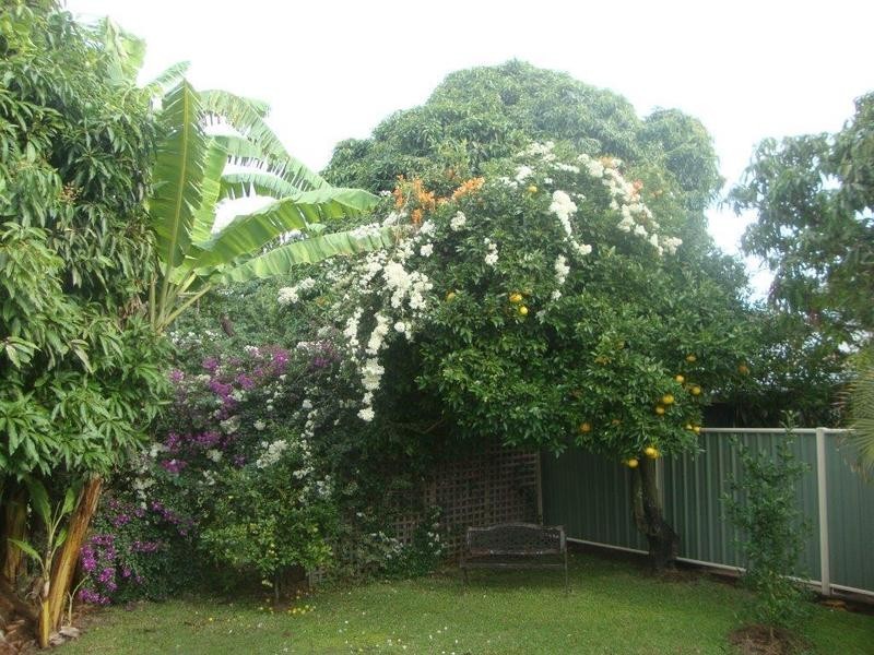 19 Mulgrave Street, Gin Gin QLD 4671