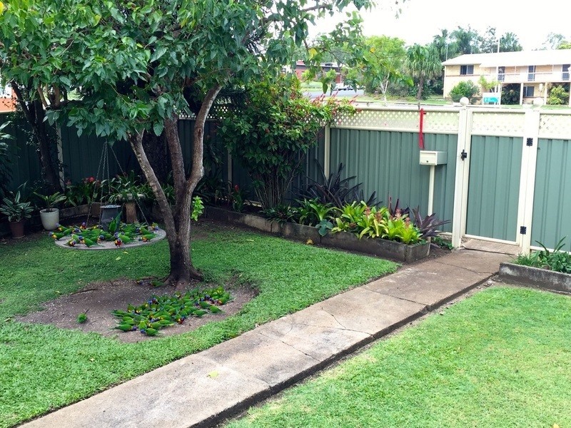 19 Mulgrave Street, Gin Gin QLD 4671