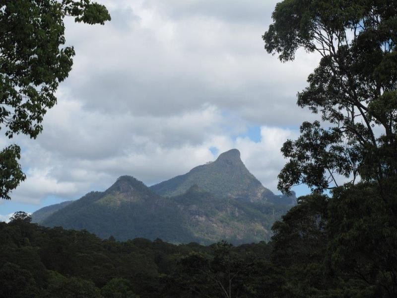 62 Clareville Road, Smiths Creek NSW 2484