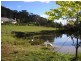 486 Aqua Park Road, Mount Mitchell, Glencoe NSW 2365