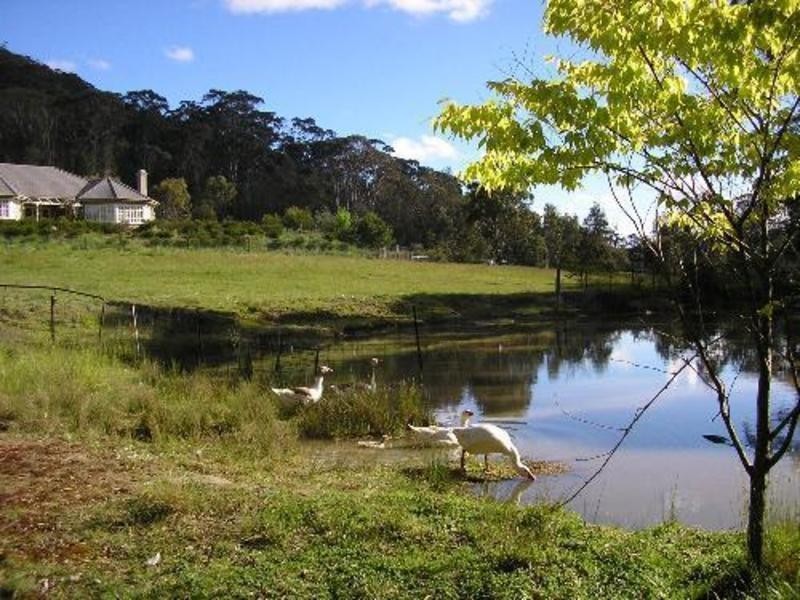 486 Aqua Park Road, Mount Mitchell, Glencoe NSW 2365
