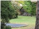 Wallington VIC 3221