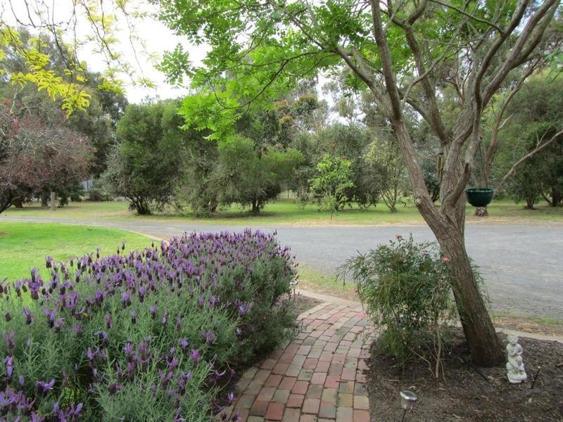 Wallington VIC 3221