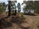 Woodview NSW 2470
