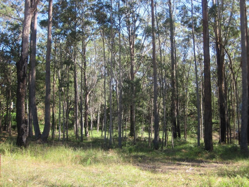 26 Otto Road, Peachester QLD 4519