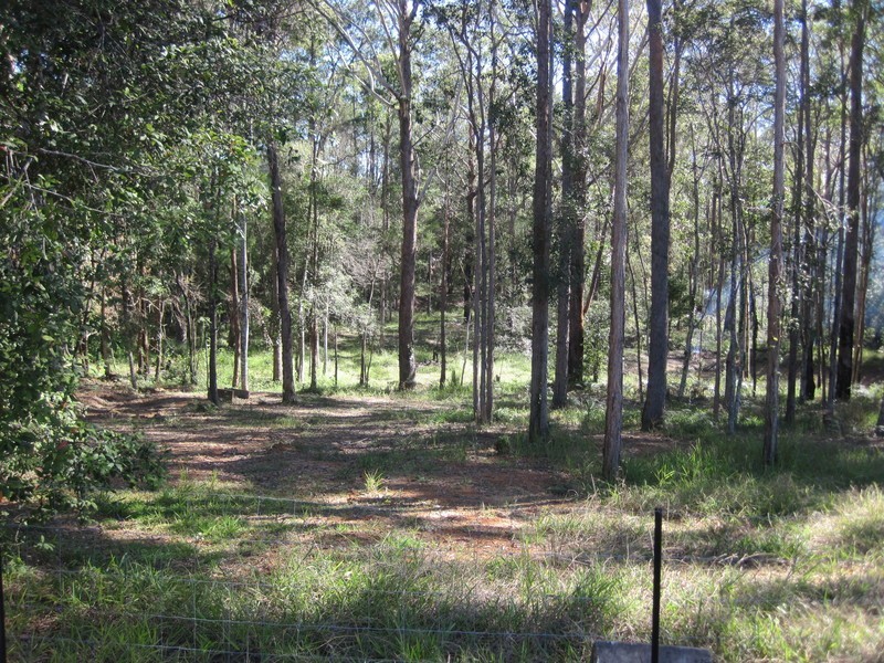 26 Otto Road, Peachester QLD 4519