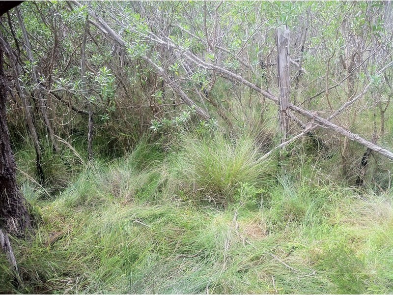 lot 1 bronze wing ave Hollands landing rd, Hollands Landing VIC 3862