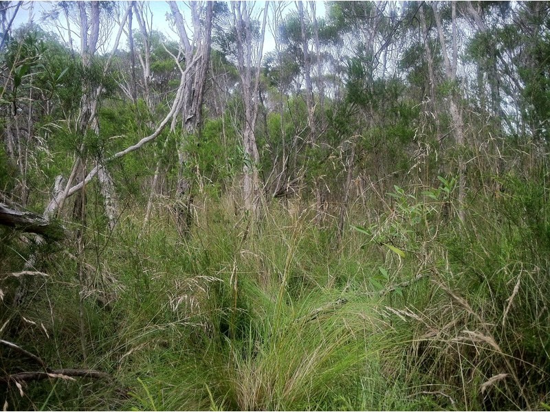 lot 1 bronze wing ave Hollands landing rd, Hollands Landing VIC 3862