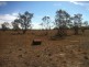 19 Walgett st, Mungindi NSW 2406
