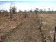 19 Walgett st, Mungindi NSW 2406