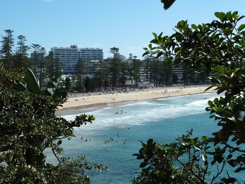 2/132 Bower Street, Manly NSW 2095