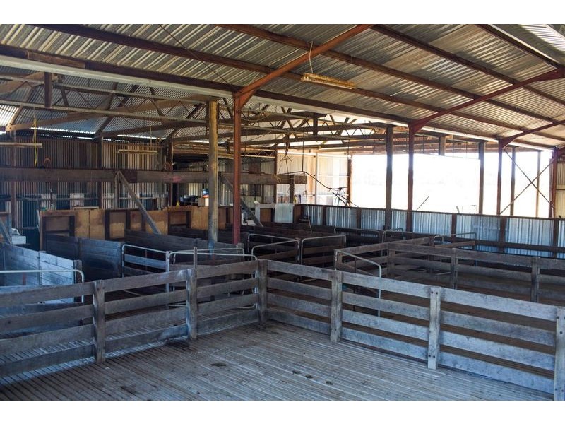 Lot 741 Telegraph Road, Monjingup WA 6450