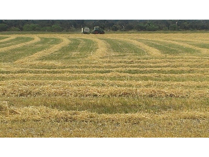 Lot 741 Telegraph Road, Monjingup WA 6450