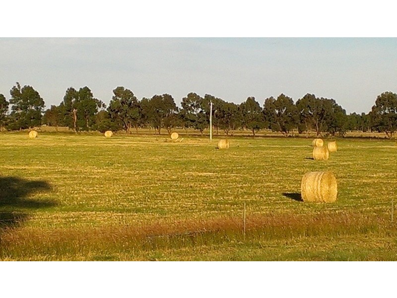 Lot 741 Telegraph Road, Monjingup WA 6450