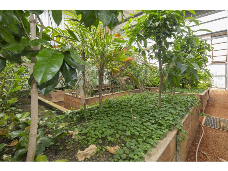 233 Piggot Martin Road, Lowlands WA 6330