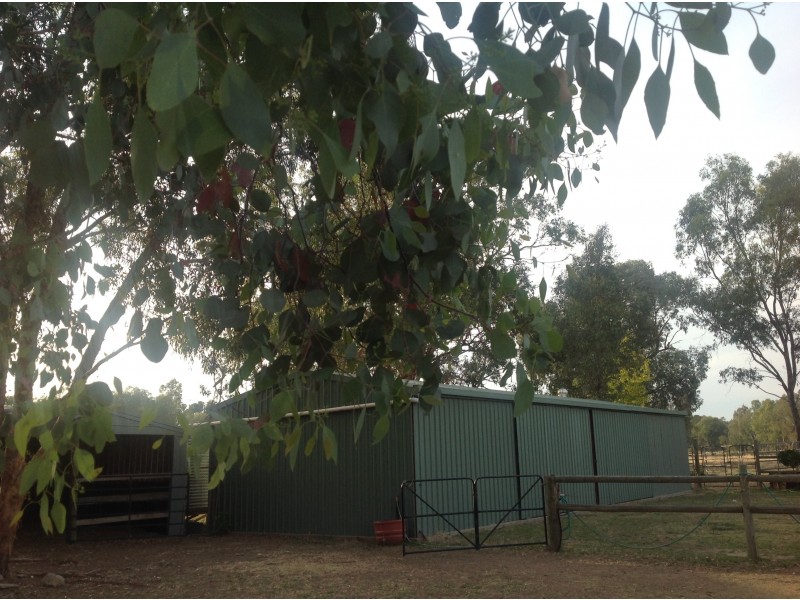 4 Ovens Terrace, Tarrawingee VIC 3678