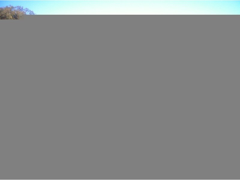 62 Simpson st, Boggabilla NSW 2409