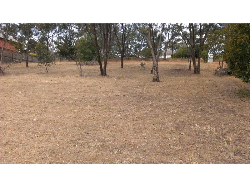 4 Lindsay Terrace, Belair SA 5052