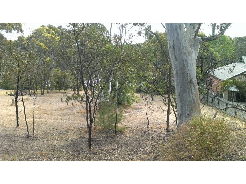 4 Lindsay Terrace, Belair SA 5052