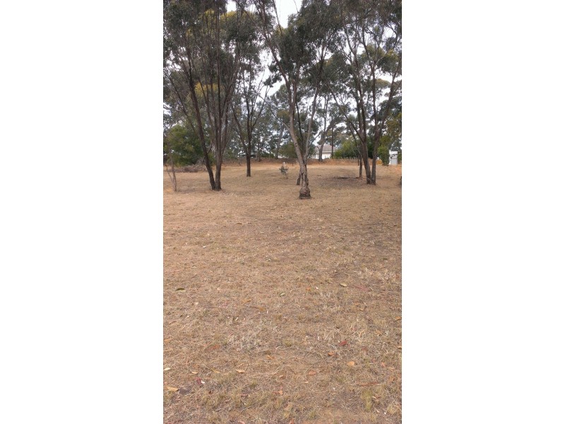 4 Lindsay Terrace, Belair SA 5052