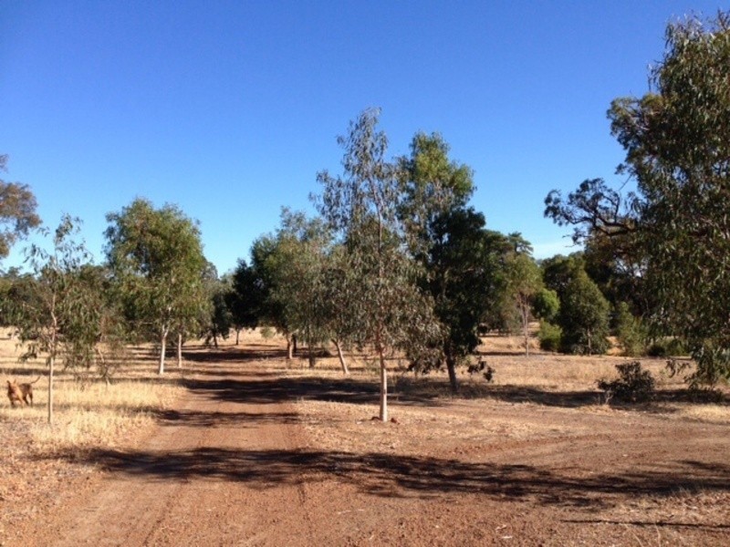 234  Copley-Dale Rd, Gidgegannup WA 6083