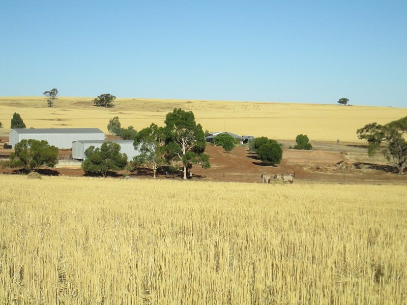 930 Carter rd, Northam WA 6401