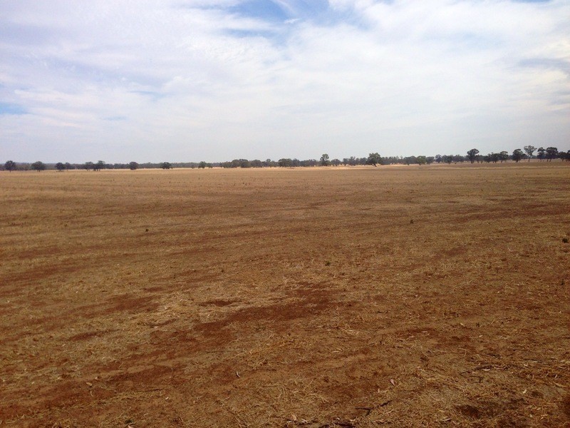 McIvors Sandy Creek Road, St Arnaud VIC 3478