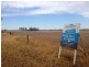 McIvors Sandy Creek Road, St Arnaud VIC 3478