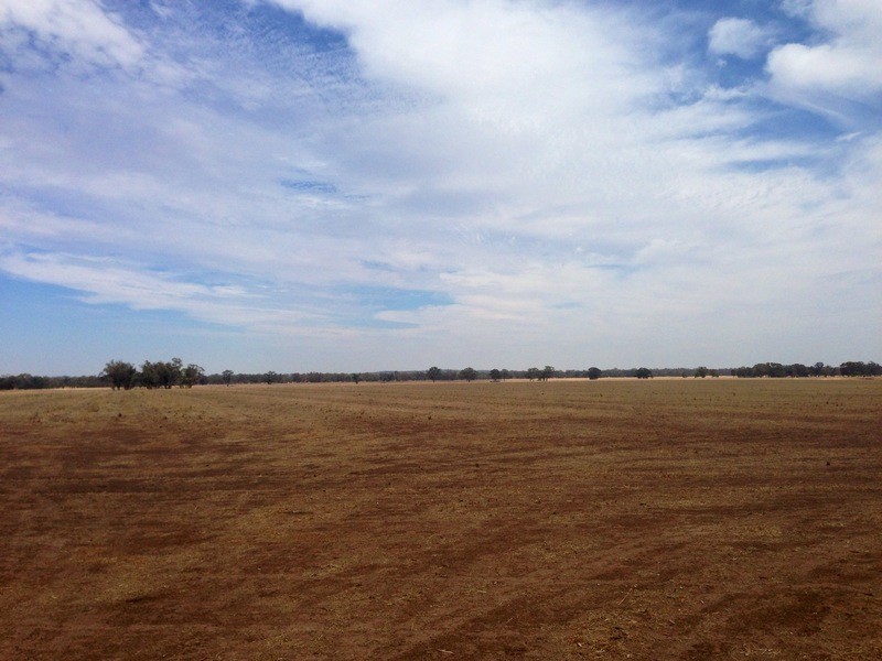 McIvors Sandy Creek Road, St Arnaud VIC 3478