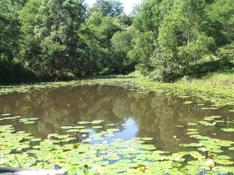 Lot 7 Gordons Knob Road, Nambucca Heads NSW 2448