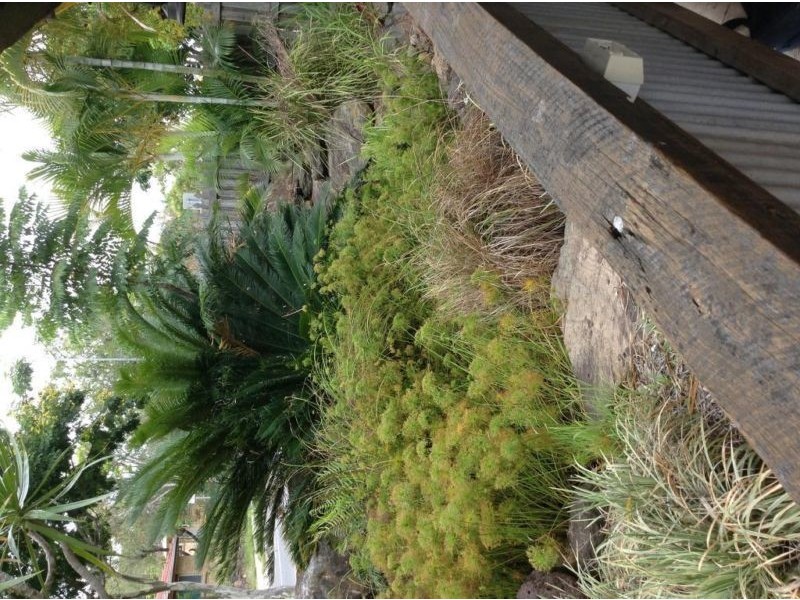 Jamboree Heights QLD 4074