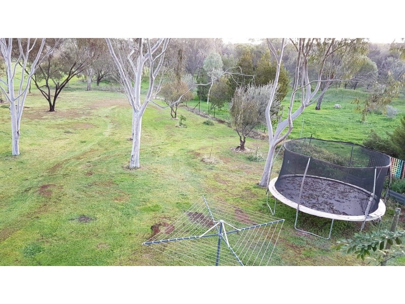 18 Purkiss Drive, Northam WA 6401