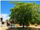 159  Badgerup Road, Wanneroo WA 6065