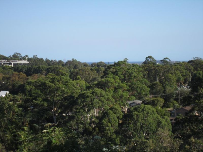 87 Cabbage tree Road, Bayview NSW 2104