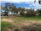 24 Buna Tce, Nuriootpa SA 5355