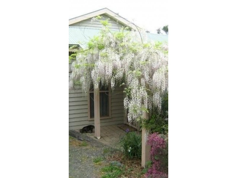 306 Clayton Street, Ballarat Central VIC 3350